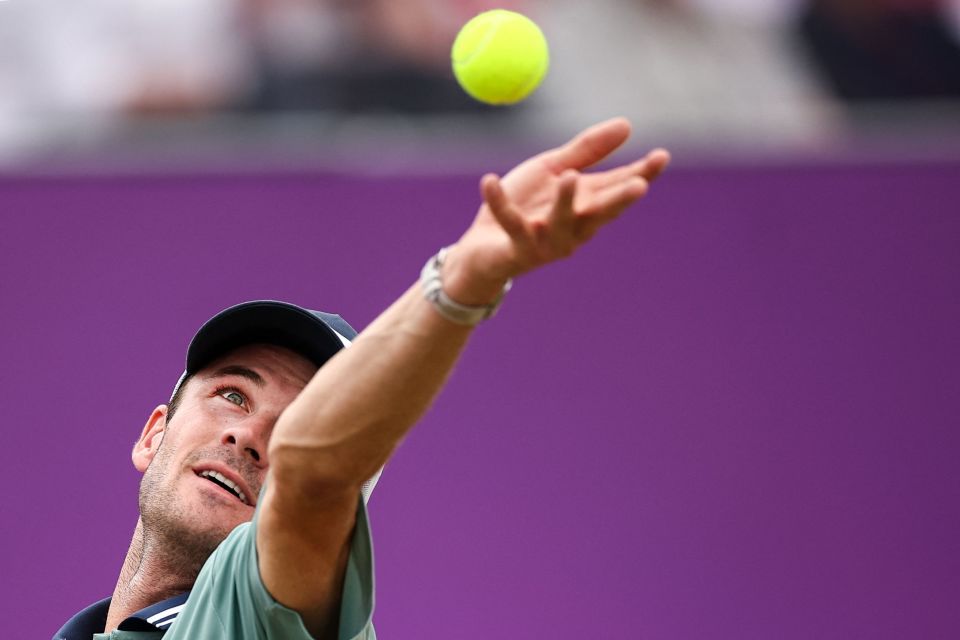 盖帽能力极 盖帽能力极